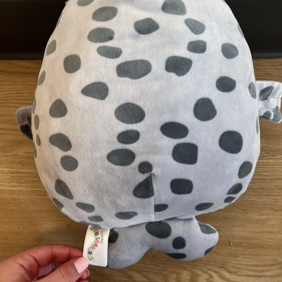 NEW Odile the Seal Squishmallow - Picture 2 of 2